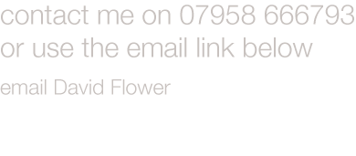 david flower contact